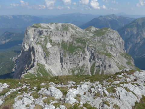 Ebenstein 6