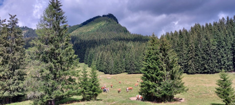 Kalkalpen 5